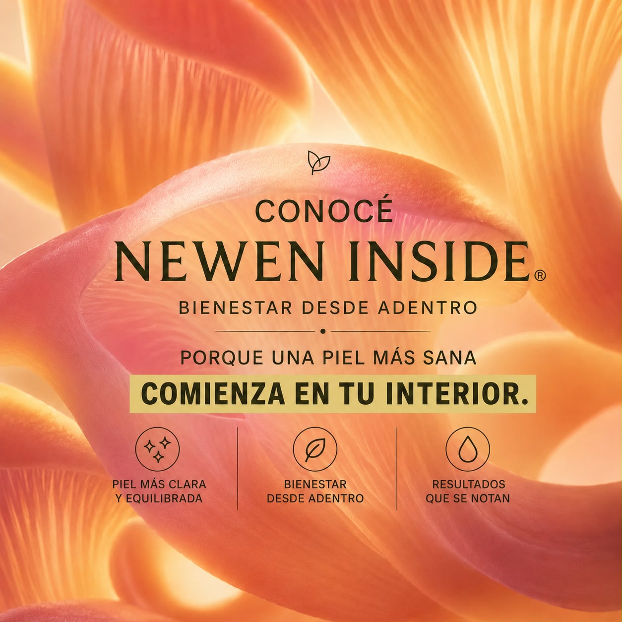 NEWEN™ INSIDE